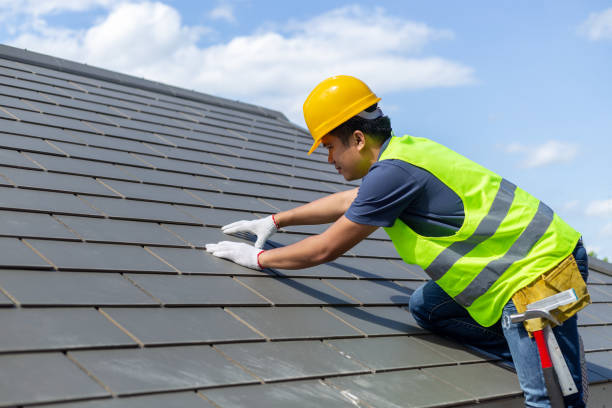 Best Local Roofing Companies  in Hamilton, TX