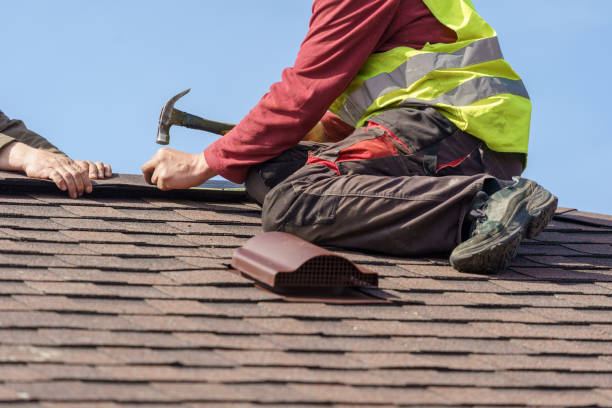 Best Roof Gutter Cleaning  in Hamilton, TX