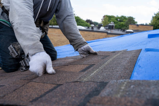 Best Storm Damage Roof Repair  in Hamilton, TX