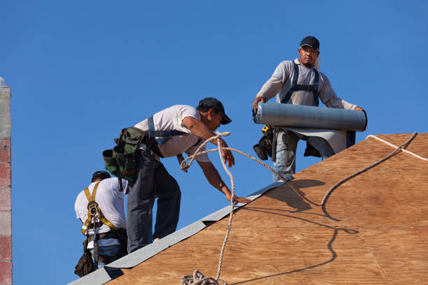 Best Storm Damage Roof Repair  in Hamilton, TX